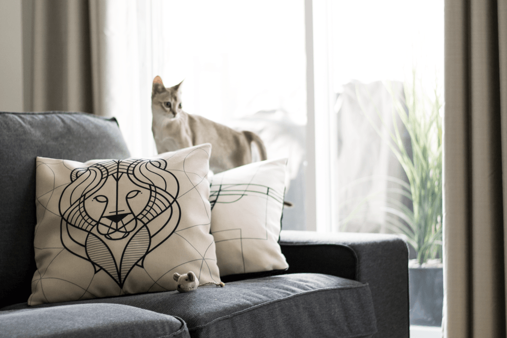 About our pillows - zzhomelifestyle